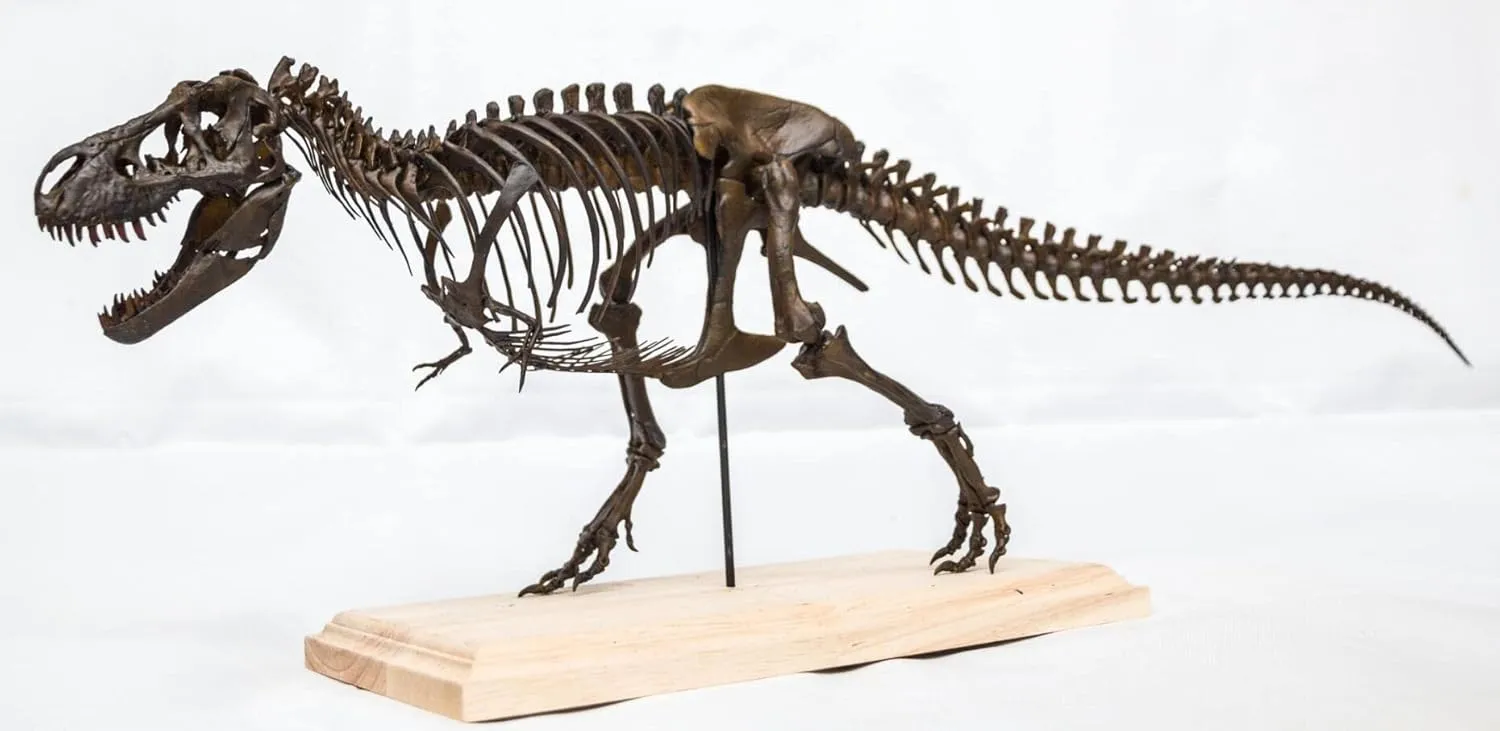 VWUVWU 1:35 Scale Tyrannosaurus Rex Trix Figure Tyrannosauridae Skeleton Collector Resin Animal Model GK Dinosaur Decor Gift for Adult (1/35)