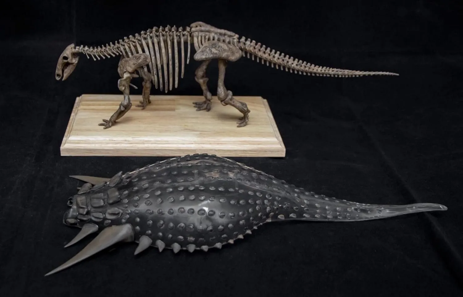 VWUVWU Edmontosaurus Model Hadrosauridae Dinosaur Skeleton Collector Resin Animal GK Decor Gift for Adult