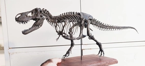 VWUVWU 1:20 Scale Tyrannosaurus Rex Trix Figure Tyrannosauridae Skeleton Collector Resin Animal Model GK Dinosaur Decor Gift for Adult (1/20)