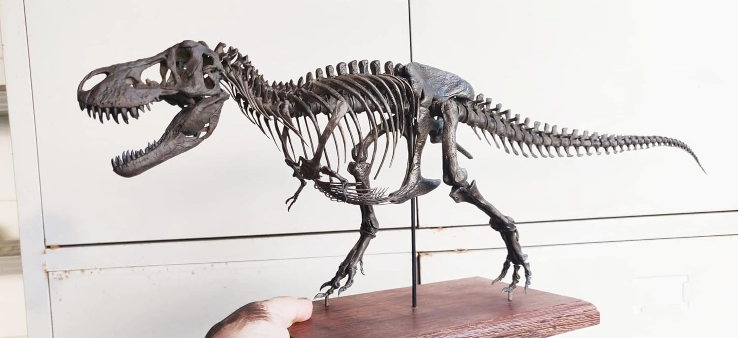 VWUVWU 1:20 Scale Tyrannosaurus Rex Trix Figure Tyrannosauridae Skeleton Collector Resin Animal Model GK Dinosaur Decor Gift for Adult (1/20)
