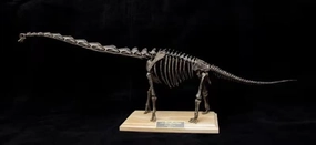VWUVWU 1：35 Scale Giraffatitan Skeleton Figure Brachiosaurus Resin Animal Model Dinosaur Collector GK Decor Gift for Adult